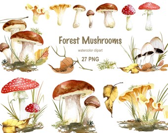 Op de afbeelding: Waterverf clipart van 27 boschampignons in verschillende kleuren en vormen, waaronder rood en wit, bruin en geel. De champignons worden afgebeeld in verschillende stadia van groei, sommige met stelen en hoeden, andere met alleen hoeden. De tekst "Forest Mushrooms watercolor clipart 27 PNG" is opgenomen in de afbeelding.