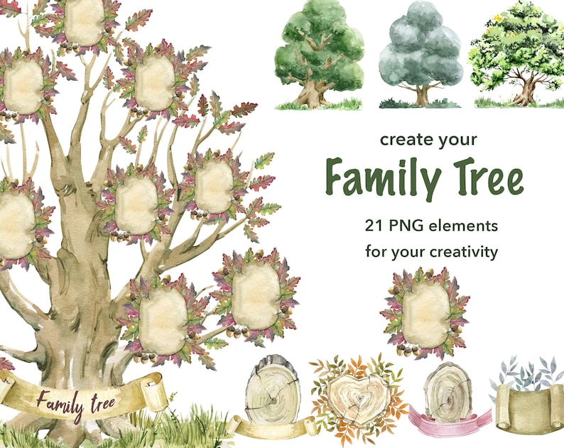 May include: A watercolour illustration of a family tree with 21 PNG elements for creating a family tree. The tree has multiple branches with leaves and blank spaces for photos. The text "create your Family Tree" and "21 PNG elements for your creativity" is included in the image.