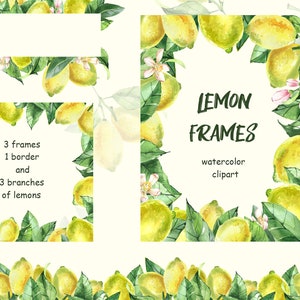 Cornice di limone, clipart ad acquerello, cornice di frutta, cornice di agrumi con fogliame, ghirlanda di limone png, cornice png, clipart estiva