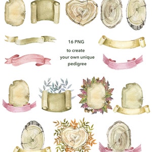 May include: A set of 16 watercolour illustrations featuring wood slices, scrolls, and ribbons in various colours and styles. The illustrations are perfect for creating a unique family tree or pedigree chart.  16 PNG to create your own unique pedigree.