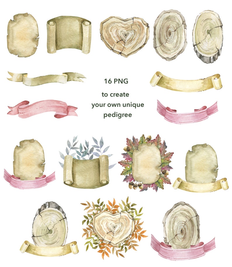 May include: A set of 16 watercolour illustrations featuring wood slices, scrolls, and ribbons in various colours and styles. The illustrations are perfect for creating a unique family tree or pedigree chart.  16 PNG to create your own unique pedigree.