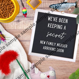 New cat announcement for social media. Instant digital download