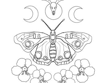 Moth Printable Coloring Page