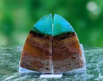 Blue Opalized Petrified Wood Pair