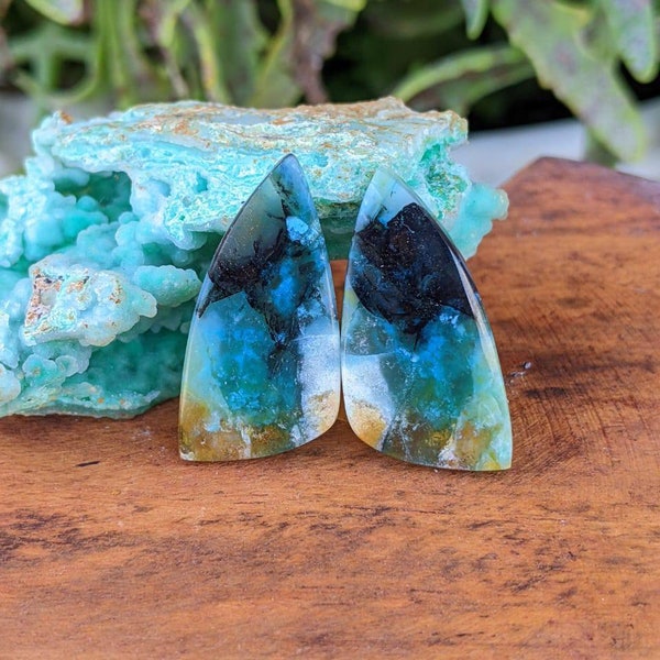 Blue Opalized Petrified Wood Pairs