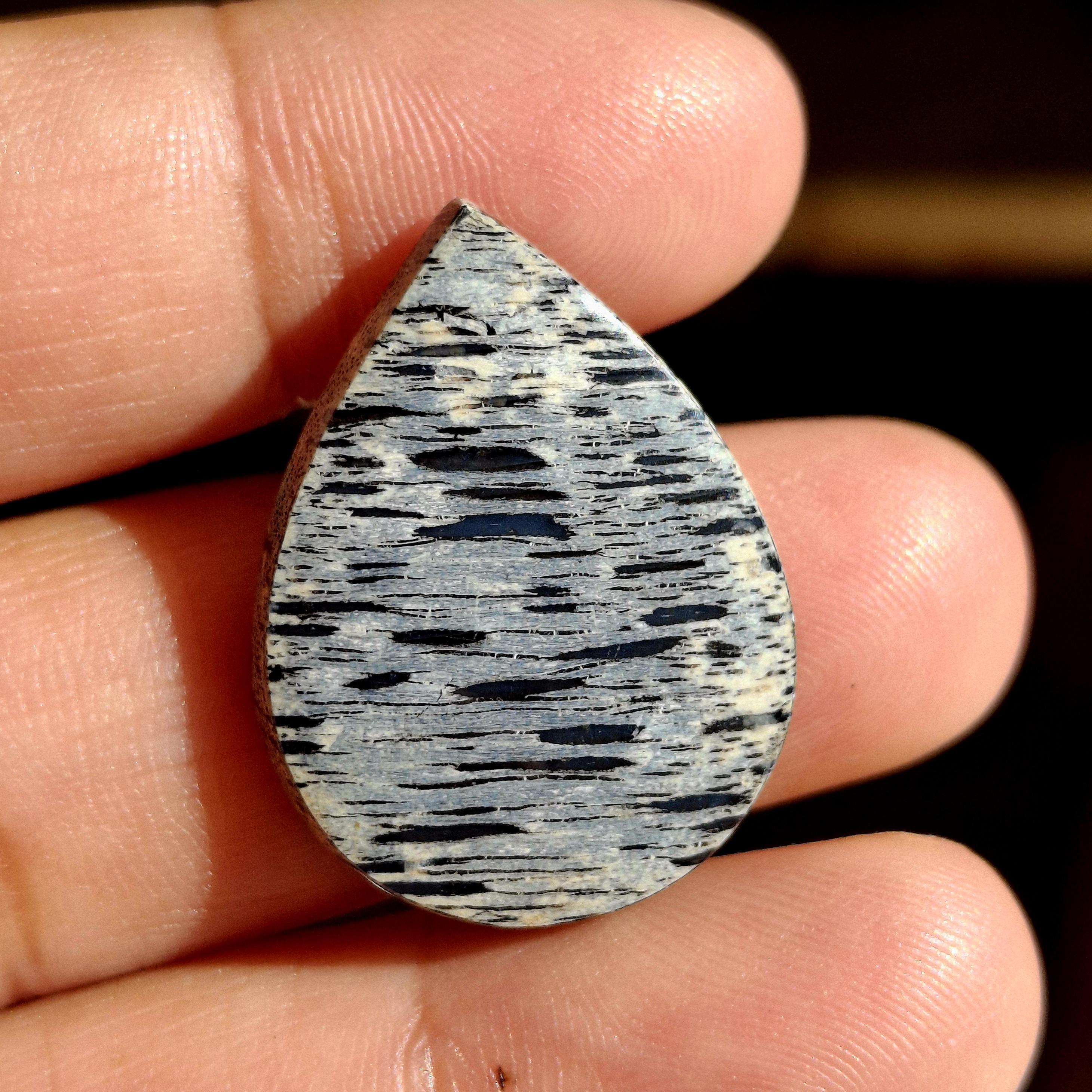 多色の石化した木の化石 - Etsy 日本