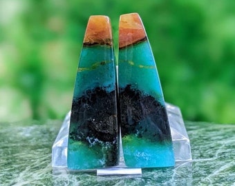 Blue Opalized Petrified Wood Pair