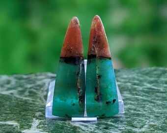 Blue Opalized Petrified Wood Pair