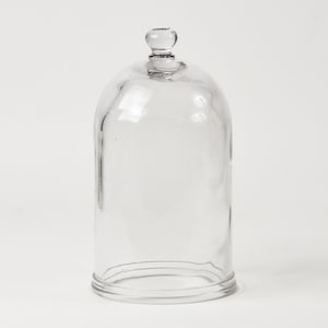 May include: A clear glass cloche with a smooth, rounded dome shape and a small, spherical knob handle at the top. The glass is transparent and features a slightly flared base rim, providing a simple, functional cover for display purposes.