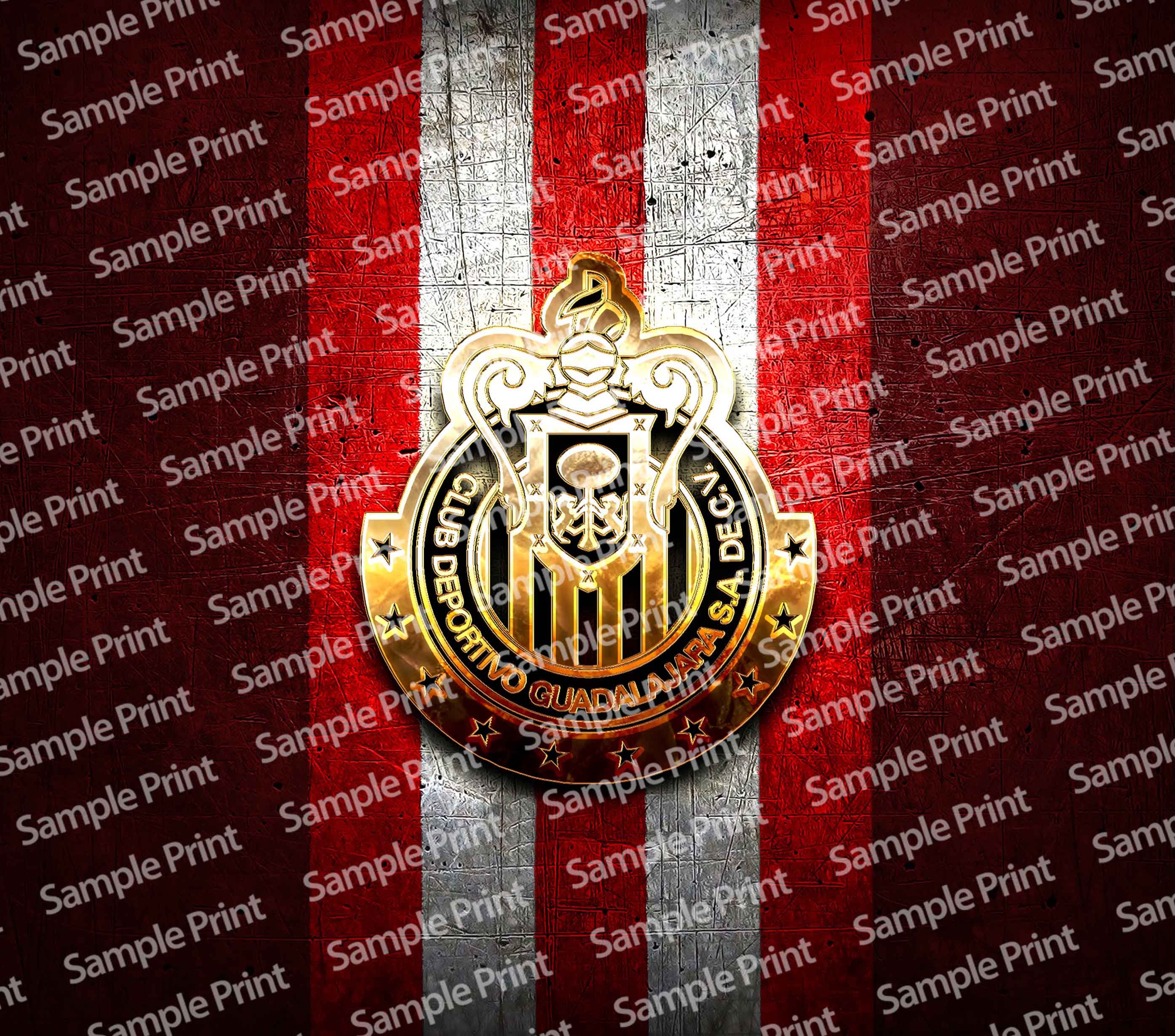 Chivas Del Guadalajara #2 Template Designs | 2 Files | Skinny Tumbler ...