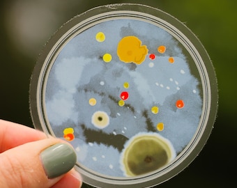 Bacteria Petri Dish Clear Sticker - Science Lab Waterproof Decal