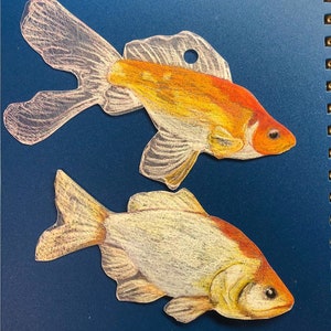 May include: Two hand-drawn fish on a blue background. One fish is orange and white with a red head. The other fish is white with a red stripe on its side.