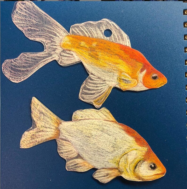 May include: Two hand-drawn fish on a blue background. One fish is orange and white with a red head. The other fish is white with a red stripe on its side.