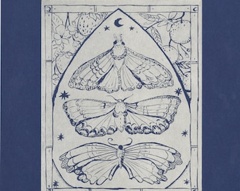Moon Moths