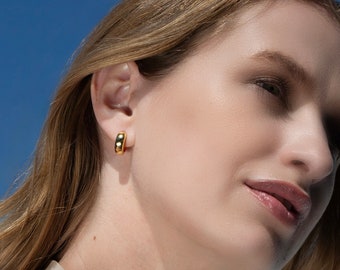 May include: A woman with long brown hair wearing a gold hoop earring.