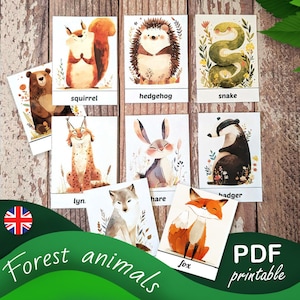 Ensemble de cartes mnémotechniques éducatives sur les animaux de la forêt - Ensemble pour le développement de bébé