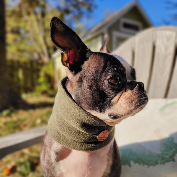 Dog Snood Fleece Green, Dog gift, Halloween, Christmas, Boston terrier