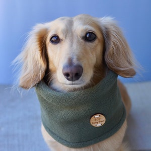 Hug-A-Dog Collarless Coverup™ - Double-layer fleece pull-over coat for  dachshunds