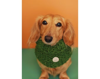 Knitted Dog Snood Scarf Green, Christmas, Dog gift, Dachshund