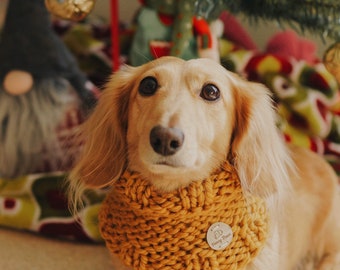 Knitted Dog Snood Scarf Golden Yellow Mustard, Christmas, Dog gift, Dachshund