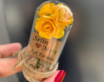 10 cadeaux en forme de dôme de roses pour les invités. Cadeau de faveurs de mariage. Cadeaux de fête personnalisés. Cadeaux La Belle et la Bête. Cadeaux d'enterrement de vie de jeune fille