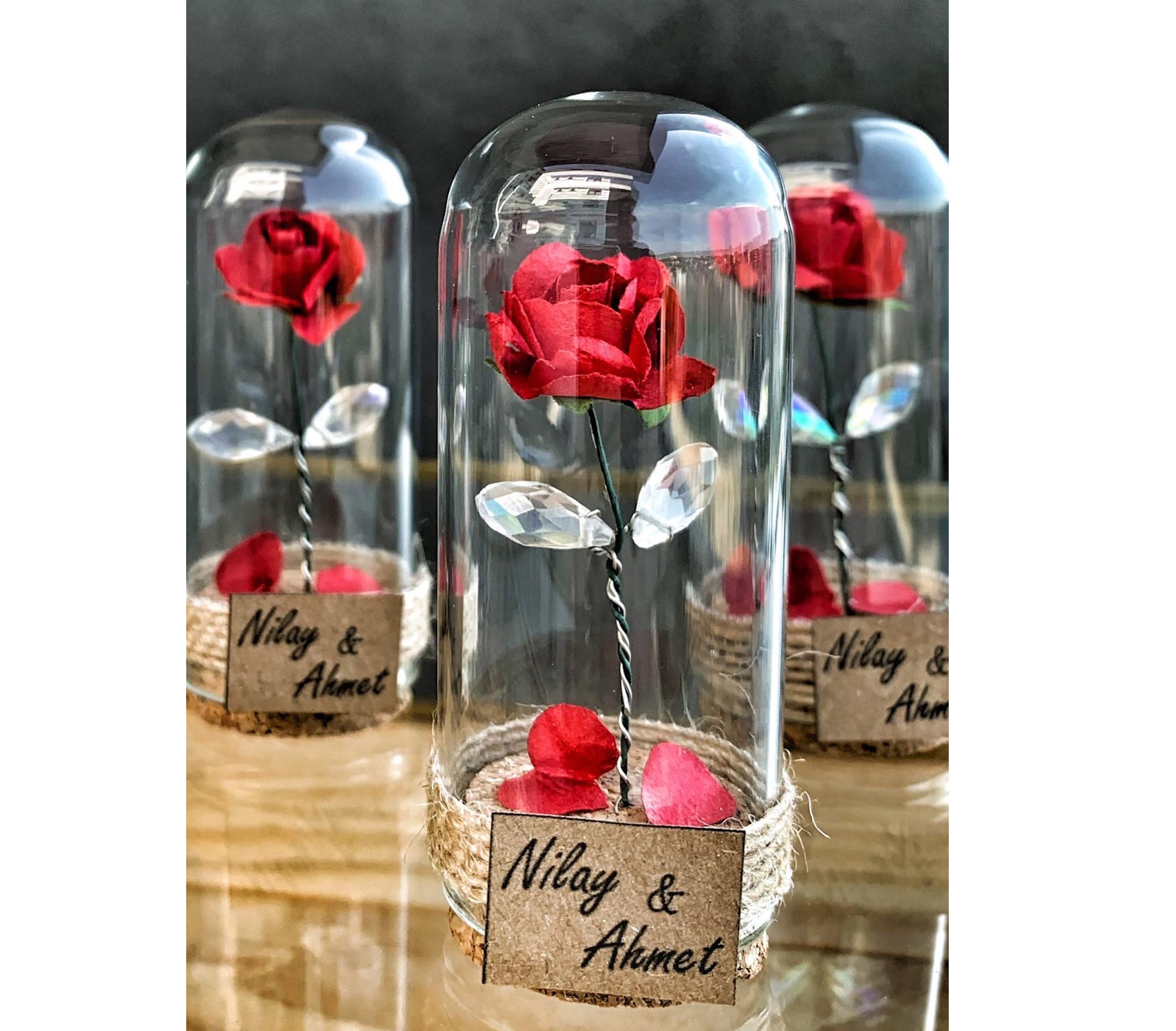 Beauty And The Beast Enchanted  Rose with Fallen Petals In Mini Glass Dome Wedding Favor 10 PCS