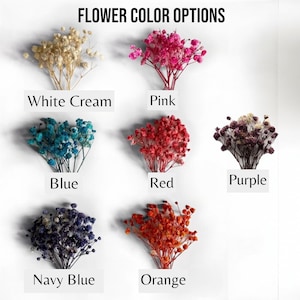 K&ouml;nnte beinhalten: Getrocknete Babyschnabelblumen in verschiedenen Farben, darunter Wei&szlig;creme, Rosa, Blau, Rot, Lila, Marineblau und Orange. Blumenfarben-Optionen.