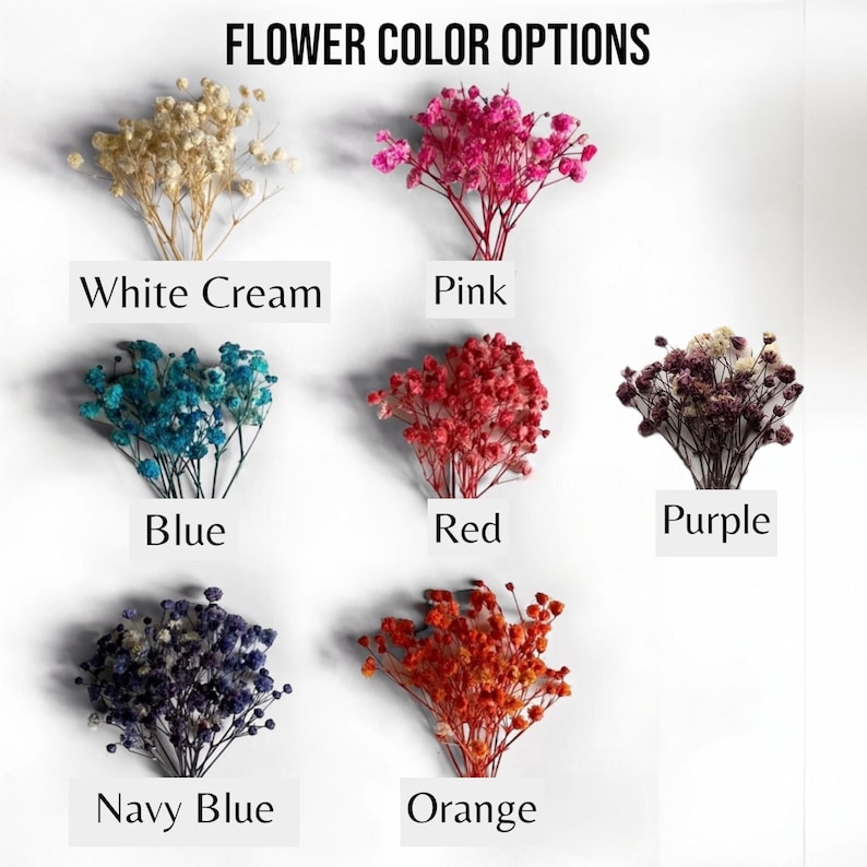 K&ouml;nnte beinhalten: Getrocknete Babyschnabelblumen in verschiedenen Farben, darunter Wei&szlig;creme, Rosa, Blau, Rot, Lila, Marineblau und Orange. Blumenfarben-Optionen.