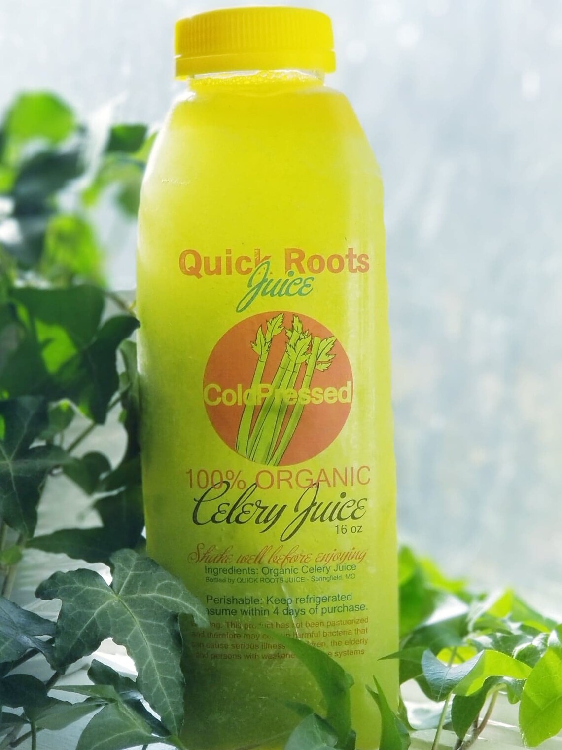 Organic Celery Juicecold Pressed 7pack of 16 Oz Bottles Etsy