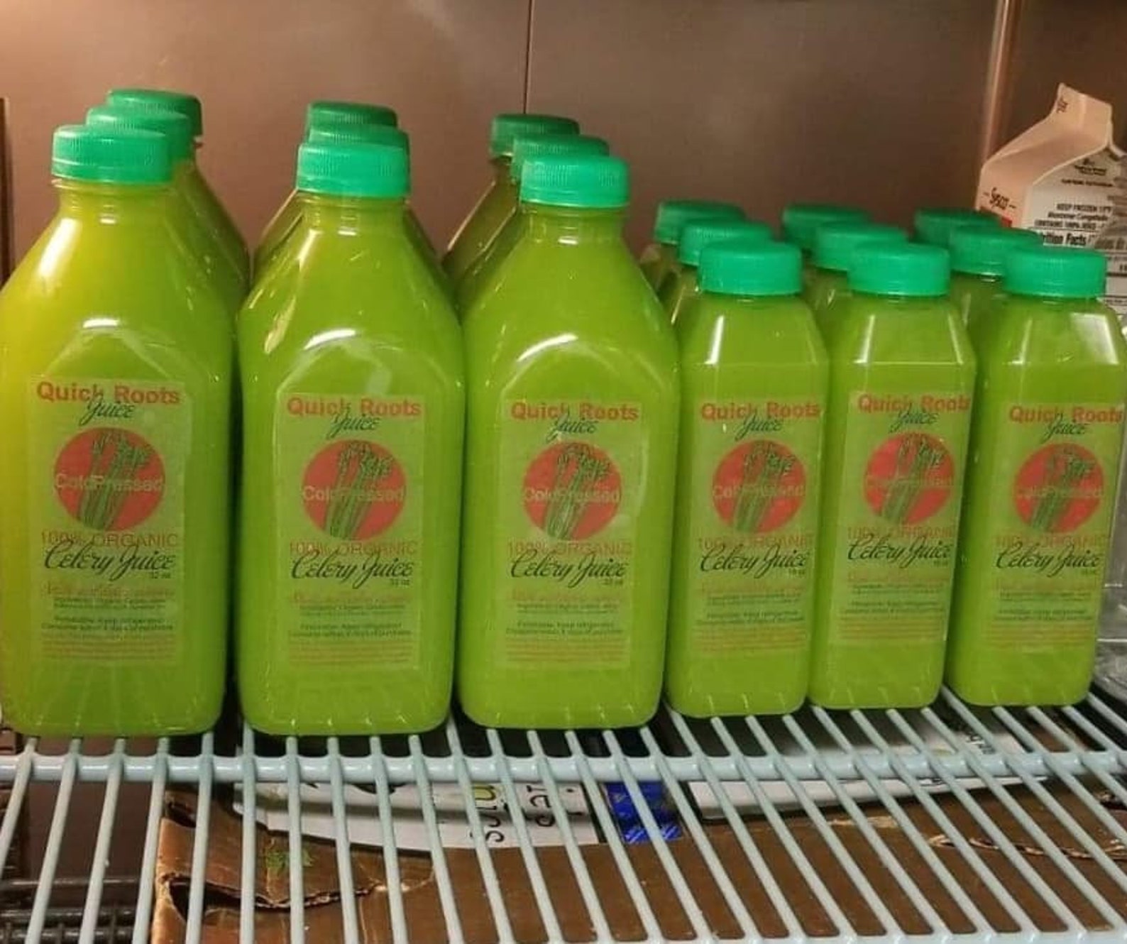 Organic Celery Juicecold Pressed 7pack of 16 Oz Bottles Etsy