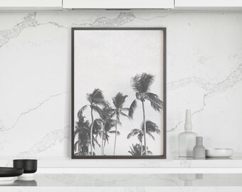 Black and White Palm Tree Print, Palm Tree Photography, Vintage Beach Prints, Retro Palm Tree Print, Monochrome Wall Art