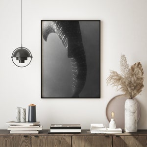Black And White Whale Shark Photography, Abstract Shark Tail Printable Wall Art, Monochrome Whale Shark Print