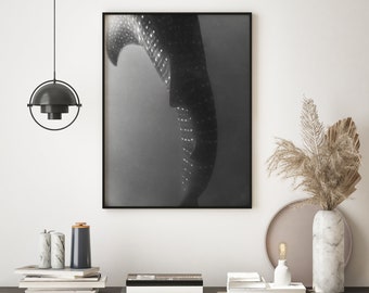 Black And White Whale Shark Photography, Abstract Shark Tail Printable Wall Art, Monochrome Whale Shark Print