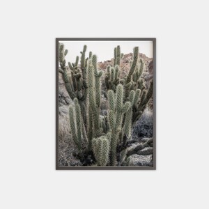 Südwesten Kaktus Wandkunst, Wüste Kaktus Plakat, digitale Kaktus Druck, Kalifornien Südwesten Fotografie