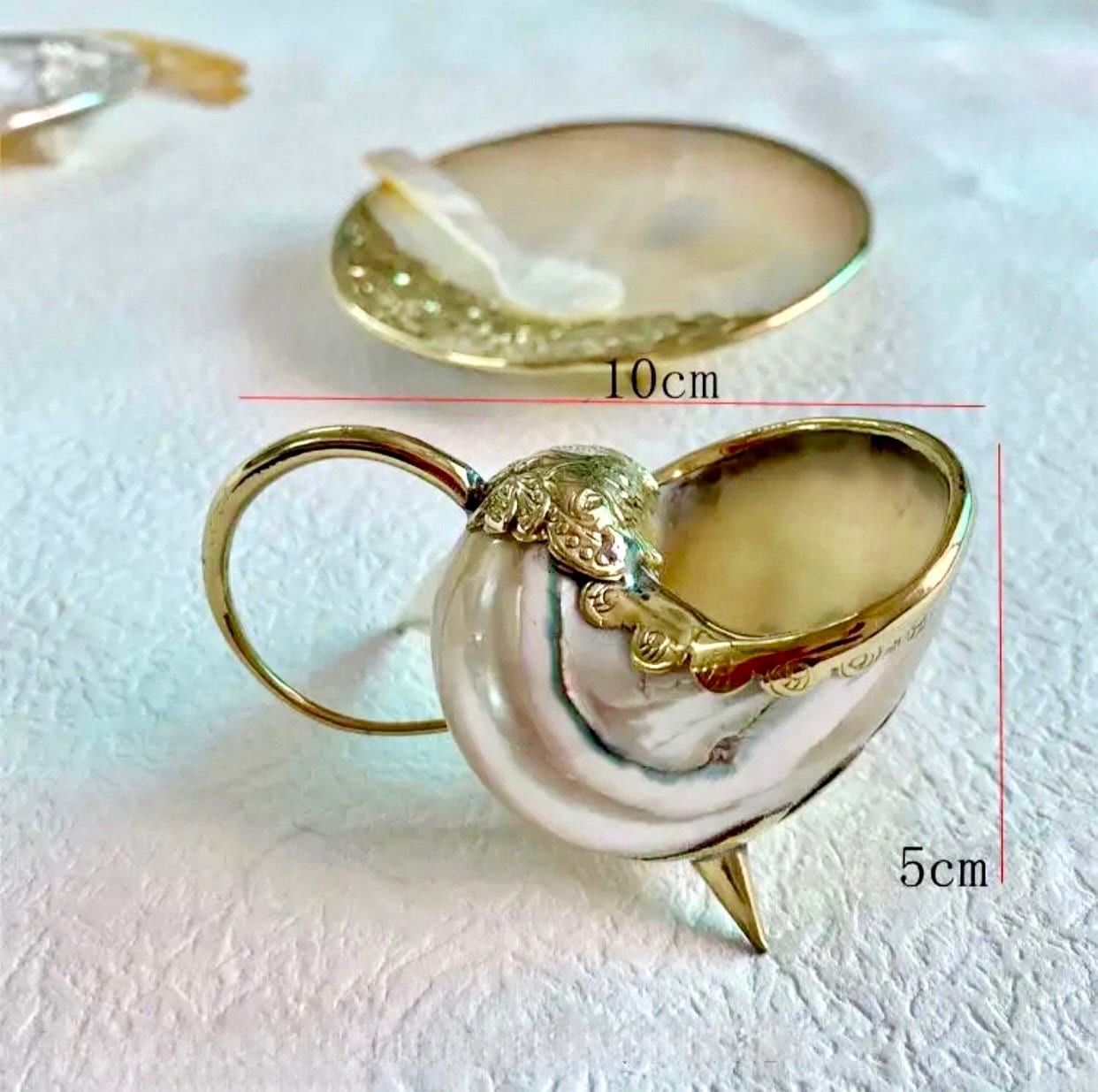 Bronze Edged Conch Shell Cup: Vintage Coastal Decor