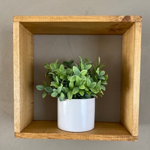 May include: A white ceramic planter with a green leafy plant sits on a wooden shelf. The shelf is a square, floating shelf with a natural wood finish.