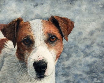 Jack - Dog Portrait - Jack Russel