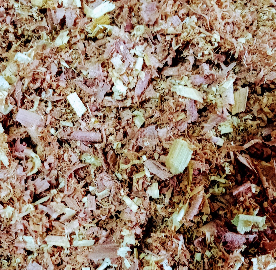 Aromatic Cedar Shavings 3 oz Etsy