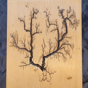 Unfinished White Oak / #2 Fractal / Lichtenburg / wood burn