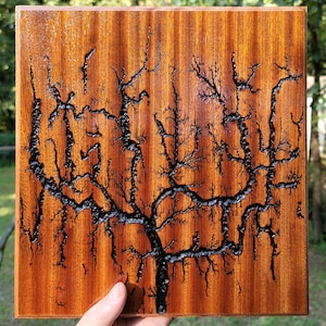 Fractal Sapele  Fractal  Lichtenburg  wood burn.
