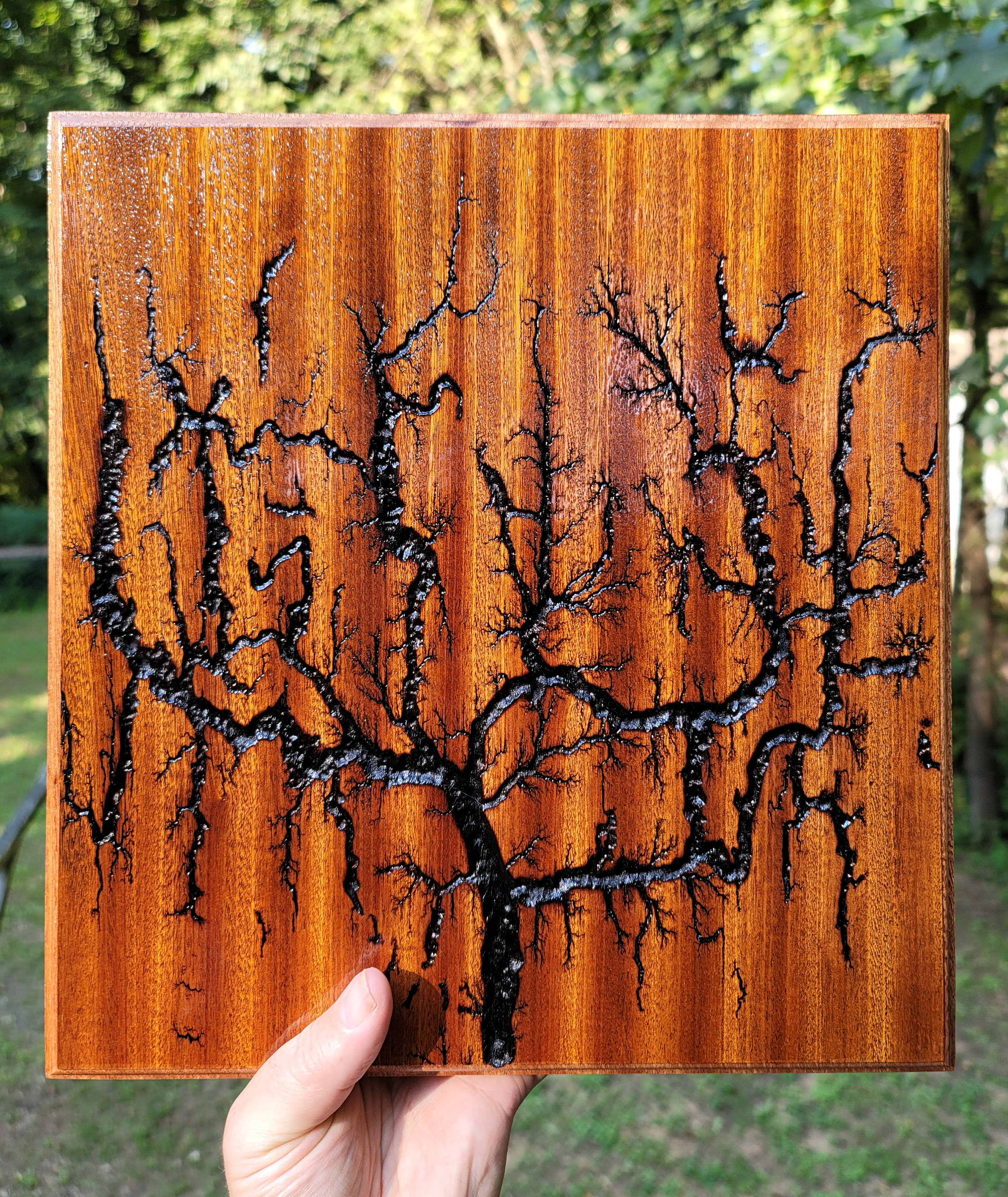 Fractal Sapele Fractal Lichtenburg Wood Burn. - Etsy