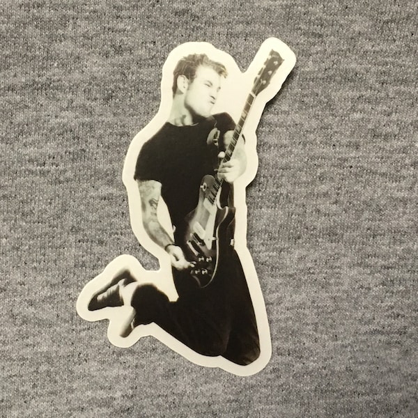 MIKE NESS Social Distortion - vinyl weatherproof sticker - somewhere between heaven and hell guitar - Social D punk rock clear outline