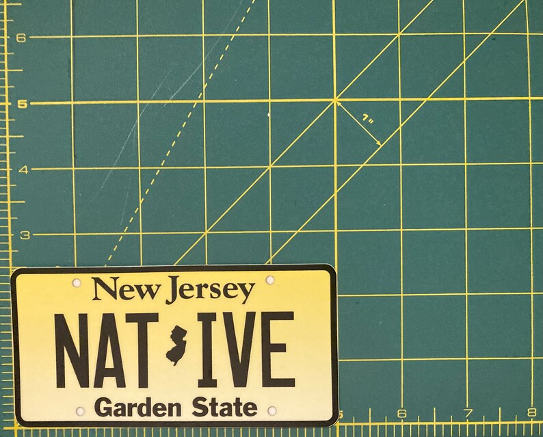 Pu&ograve; includere: Targa rettangolare con la scritta "New Jersey" sopra "NATIVE" e "Garden State" sotto. La targa &egrave; gialla con scritte nere e un piccolo contorno del New Jersey. La targa &egrave; lunga circa 17,78 cm.