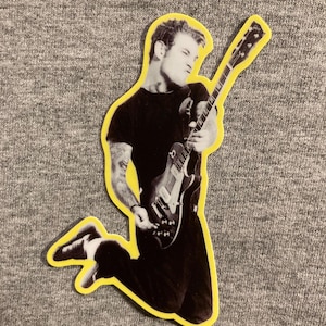 MIKE NESS Social Distortion - vinyl weatherproof sticker - somewhere between heaven and hell guitar - Social D punk rock