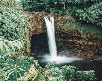 Nature Photography- Island of Hawaii