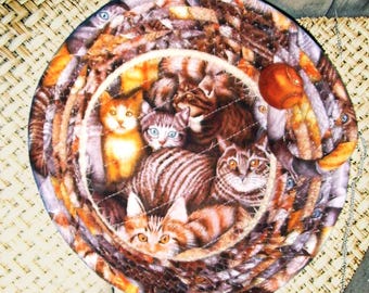 Cats Small Rope Bowl-Fabric Wrapped Feline Basket