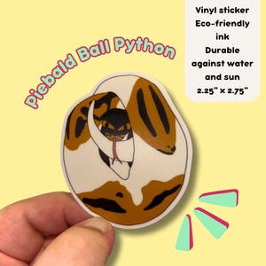 Gescheckter Königspython Aufkleber