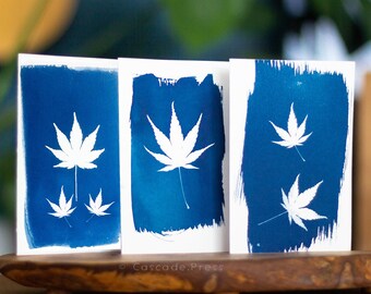 Maple Blueprint  - 4x6” - Genuine Original Cyanotype Sunprint Botanical Art - Small Print Gift