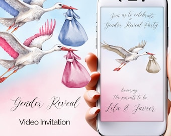 Stork Gender Reveal Video Invitation: Pink and Blue He or She