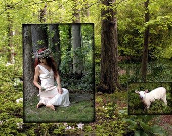 Celebrate Ireland!  One-of-a-kind Handmade Collage Greeting Card "Rowena in the Woods," featuring photography by Beth Trepper.